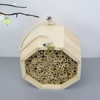 Наружный шестигранный шнур Деревянный червь Пчелиное гнездо Массив сосны Гнездо насекомых Деревянные соты Энтомология